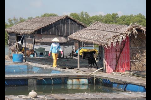 Fish farm in Vietnam. Credit: Claire Fackler, NOAA/Marine Photobank